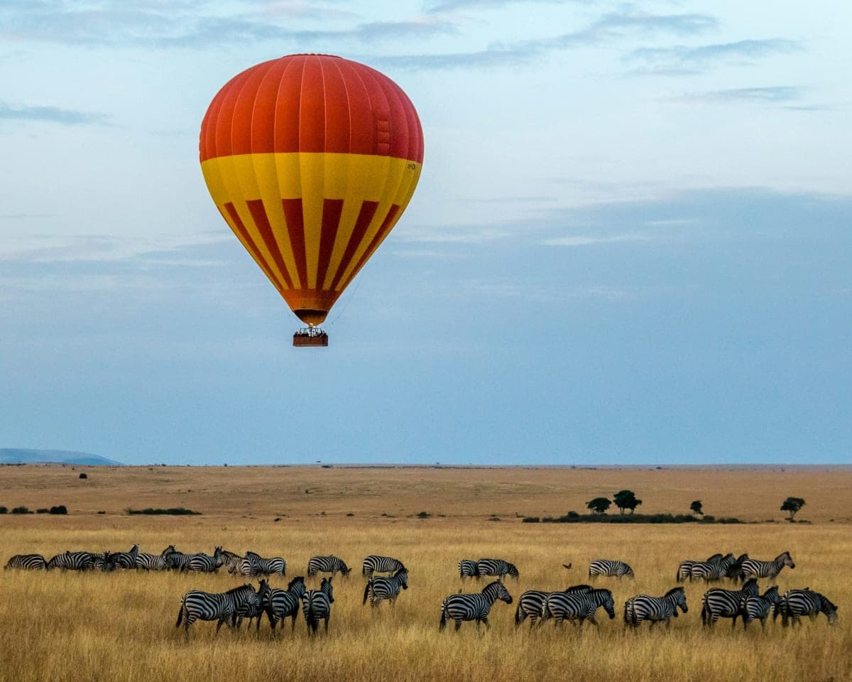 Kenya Grand Tour — Amboseli, Masai Mara, Samburu